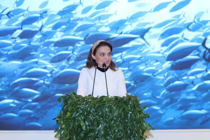 The First Youth Climate Negotiation dedicated to #COP29