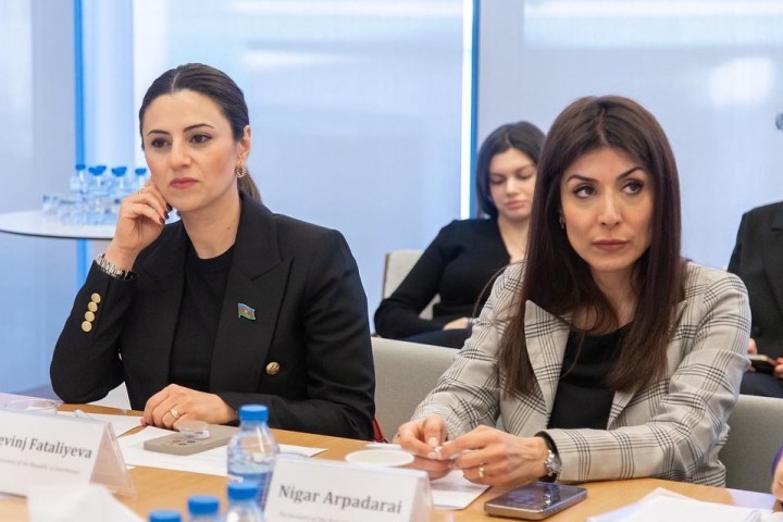 Roundtable on Promoting the Role of Women in the Energy Sector