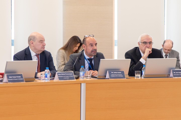 COP29 was Analyzed from European and South Caucasus Perspectives