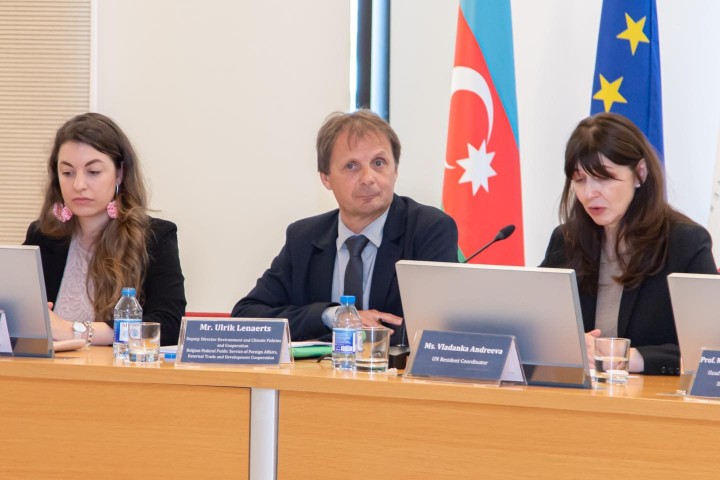 COP29 was Analyzed from European and South Caucasus Perspectives