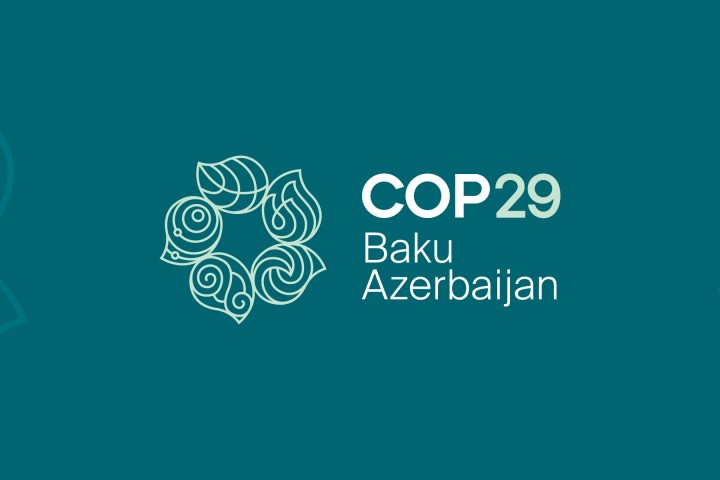 COP29