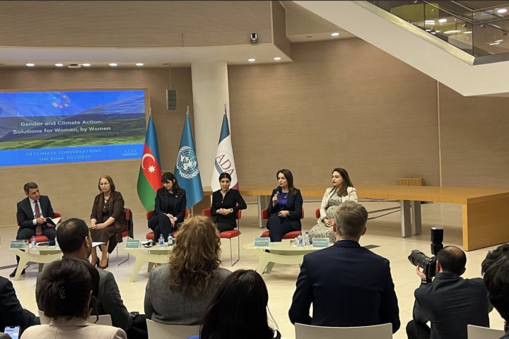 Panel Discussion on “Gender and Climate Action: Solutions for Women, by Women