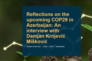 IDD Director for Policy Research Damjan Krnjević Mišković's Interview to Canadian Gas Association