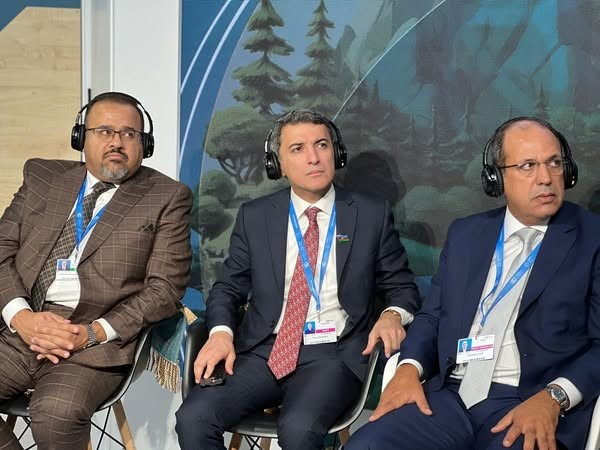 COP29 Summary of IDD