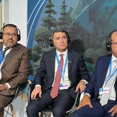 COP29 Summary of IDD