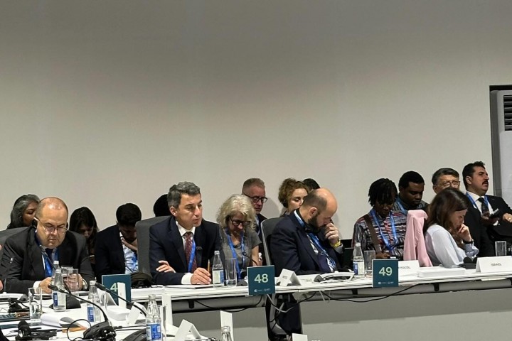COP29 Summary of IDD