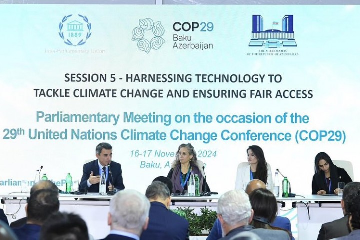 COP29 Summary of IDD