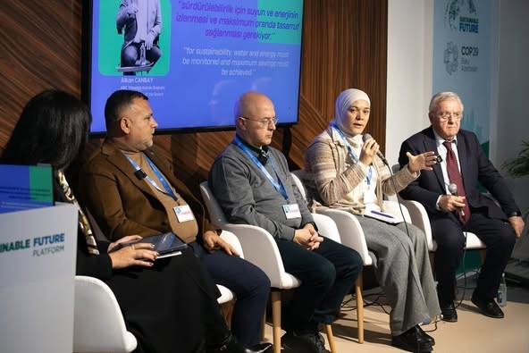 COP29 Summary of IDD