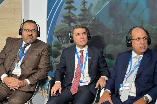 COP29 Summary of IDD