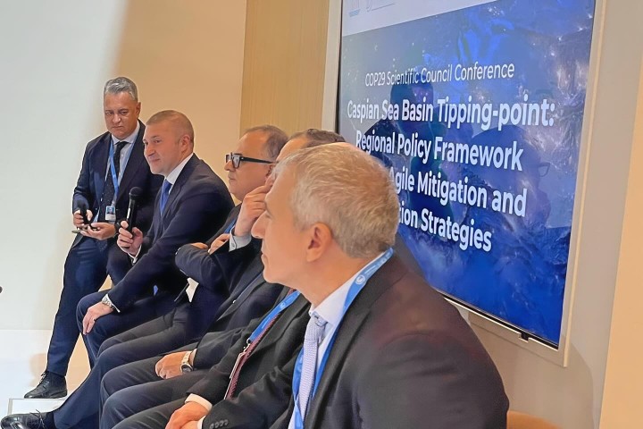 Science, Technology and Innovation, Digitalisation Day Discussion at COP29