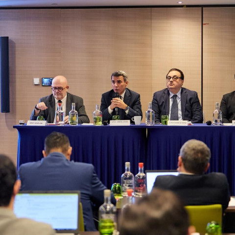 IDD  at the International Conference “The Right to Return in International Law”