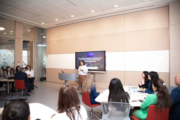 The Energy Efficiency and Sustainability Workshop Series