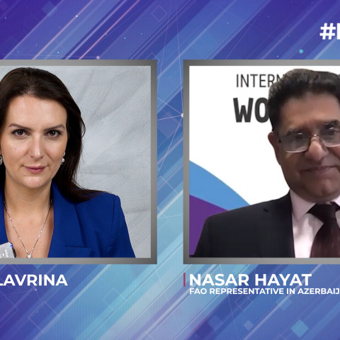 FAO & Azerbaijan: Branding, Food Security, and Post-Conflict Development