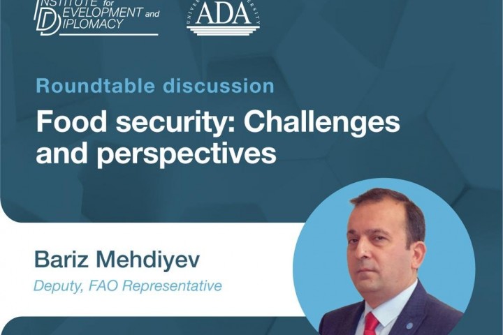 Roundtable discussion  "Food security: Challenges and perspectives"