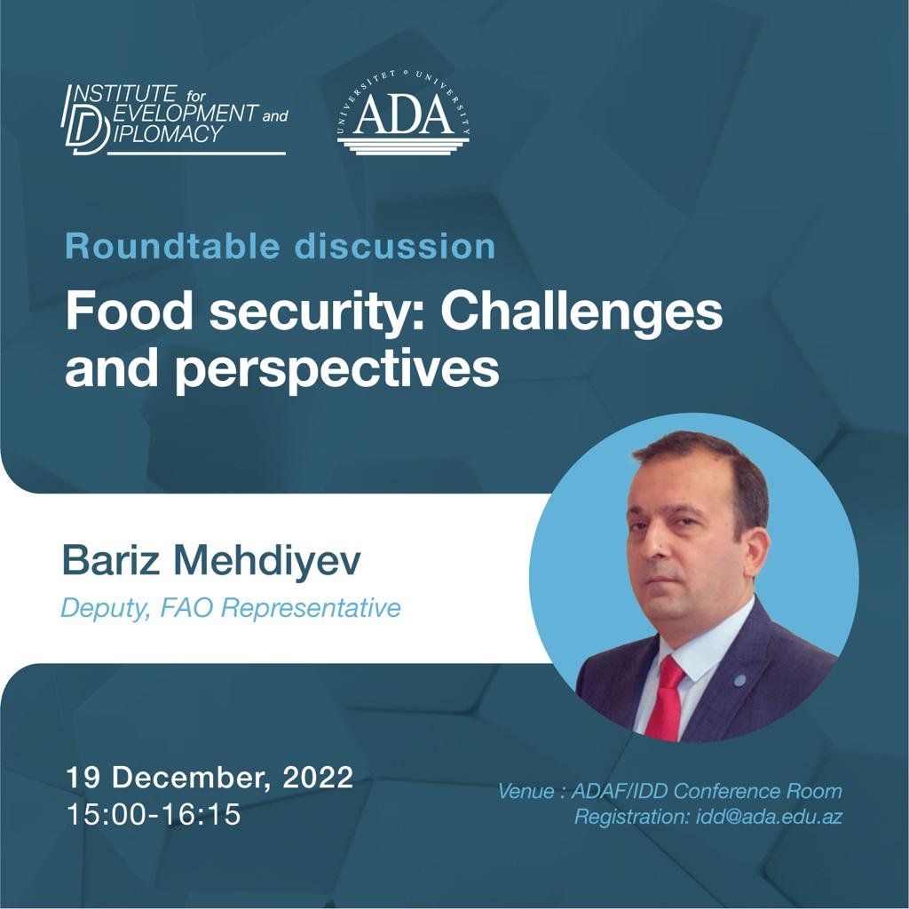 Roundtable discussion  "Food security: Challenges and perspectives"