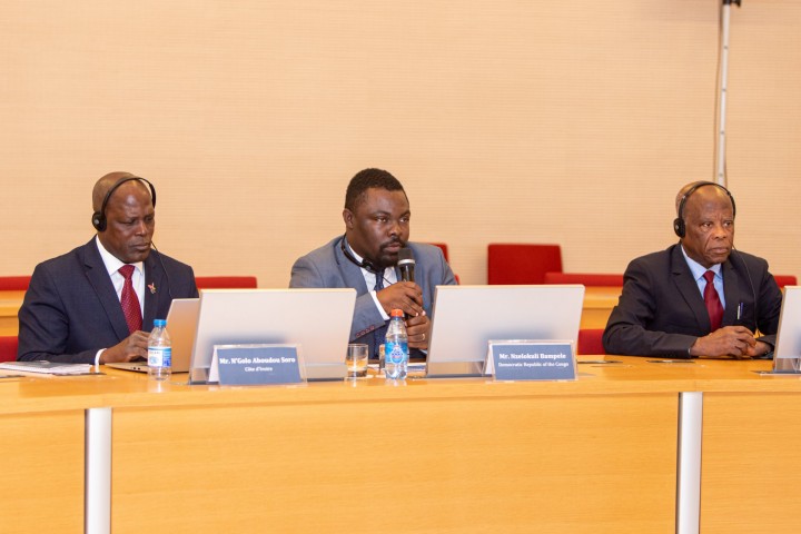 The second Capacity Building Program for Secretaries-General and Representatives of the National Commissions for UNESCO in African countries has ended