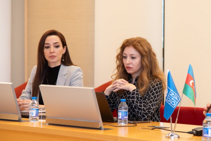 IDD and UNDP Organize a  Four-day Training Workshop